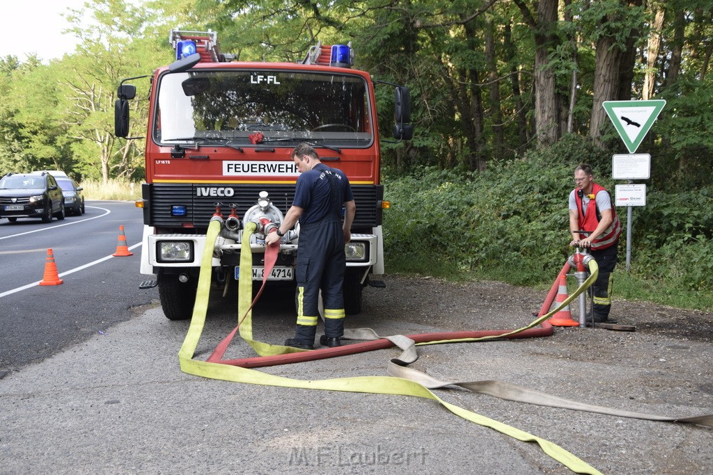 Waldbrand Koeln Hoehenhaus Hoehenfelder Mauspfad P018.JPG - Miklos Laubert